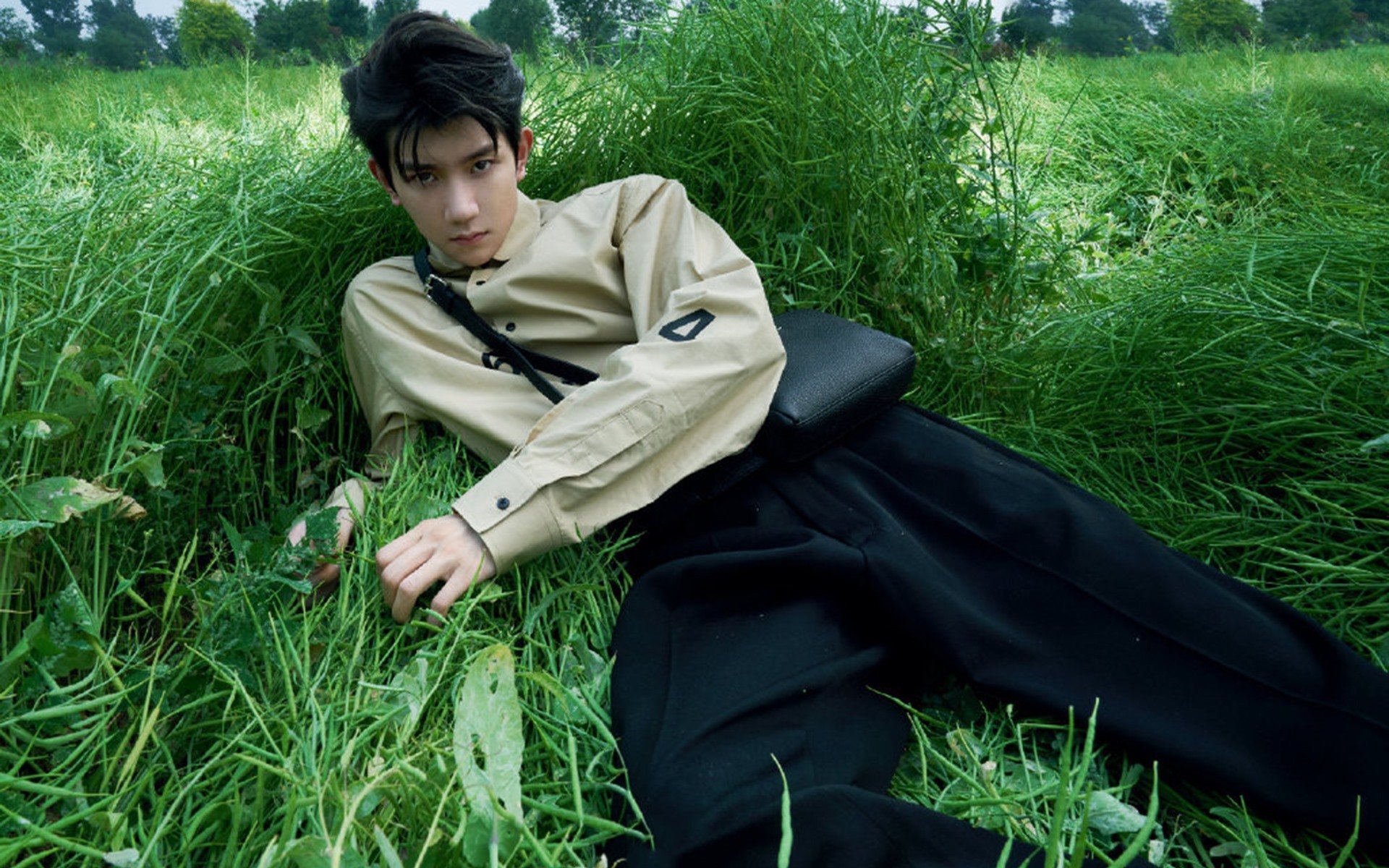 墨西哥马术协会建立马匹基因数据库，促进马匹选育与训练。，墨西哥马西亚斯