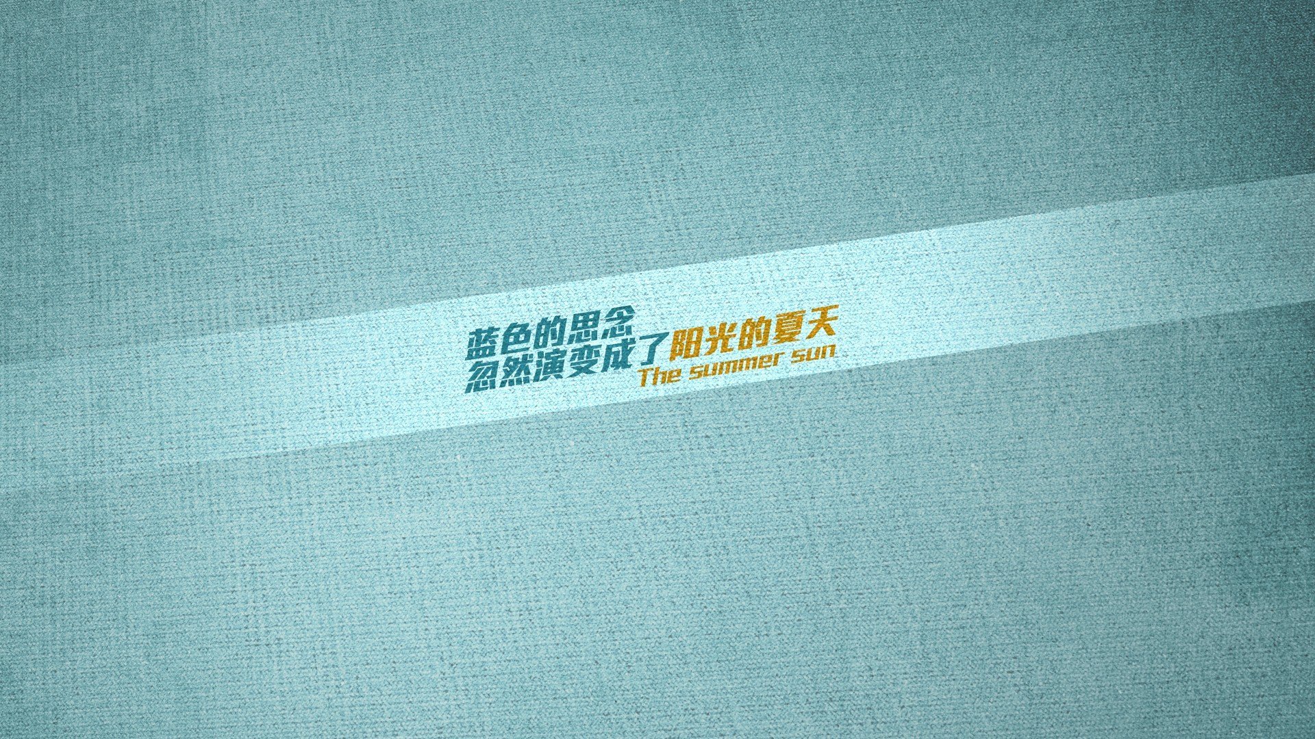 墨西哥马术协会开展马匹福利宣传活动，提升公众意识。，墨西哥马拉松