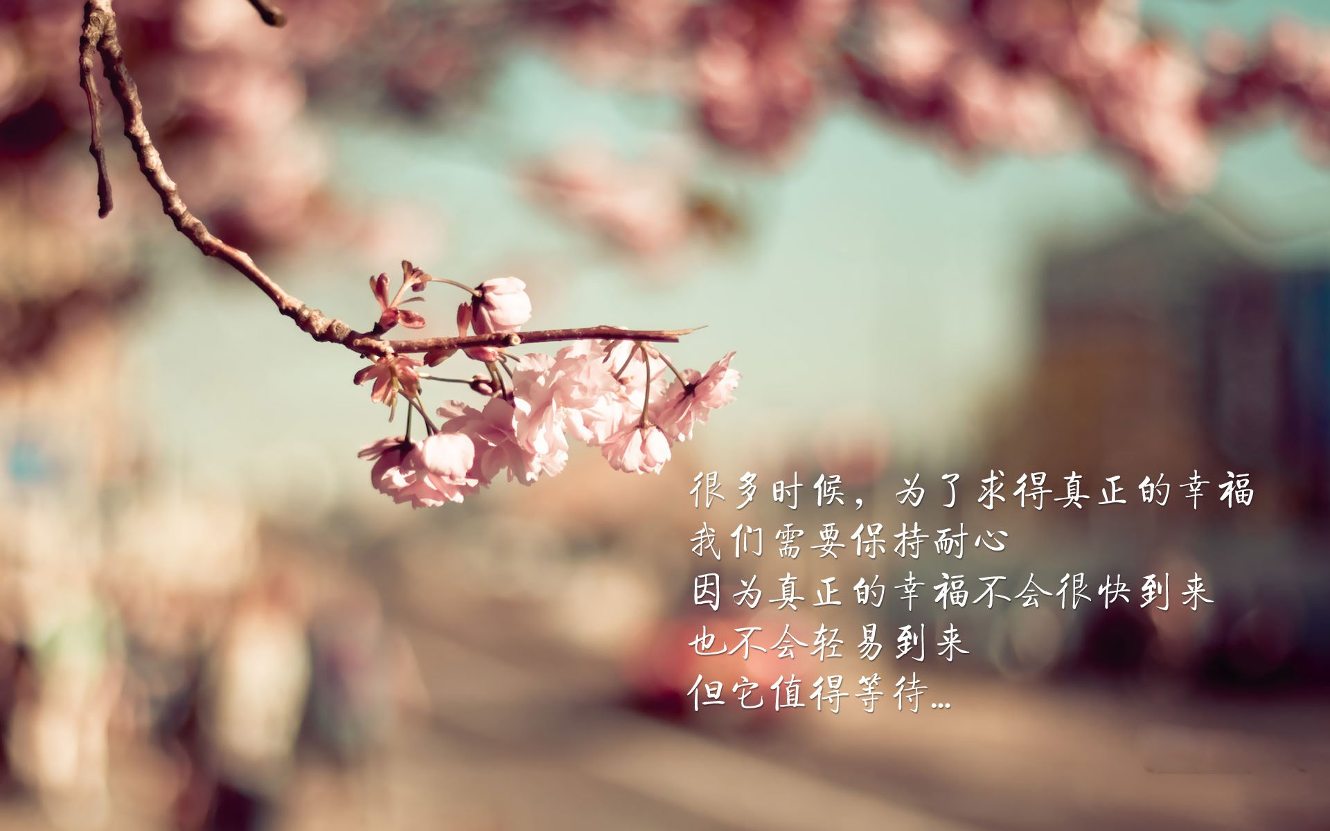 柬埔寨骑手Chantola Kiri在“Princess’s Cup Thailand 2024”中获得FEI SEA Cup亚军,为国家争光。