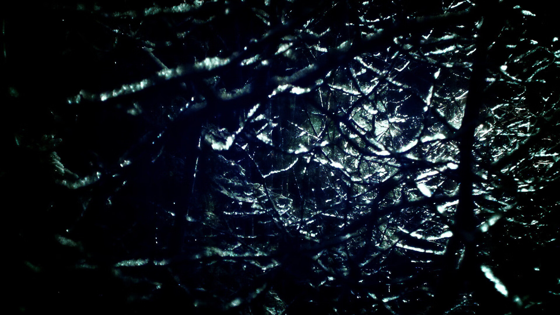 线上瑜伽课程受欢迎,学员遍布全国,线上瑜伽课是怎么学