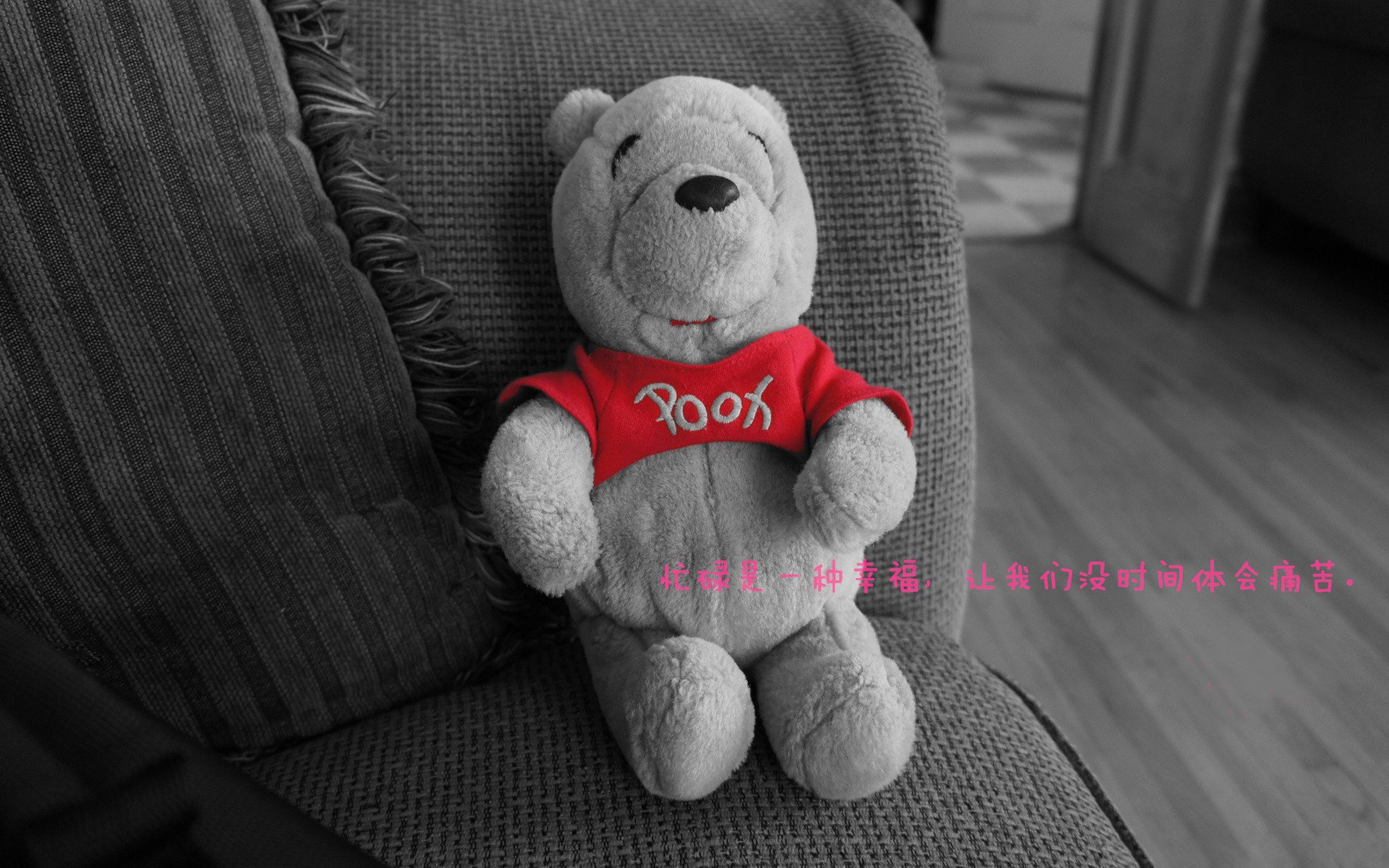 葡萄牙马术协会推出马术运动员心理辅导项目,提升竞技表现。,葡萄牙马种