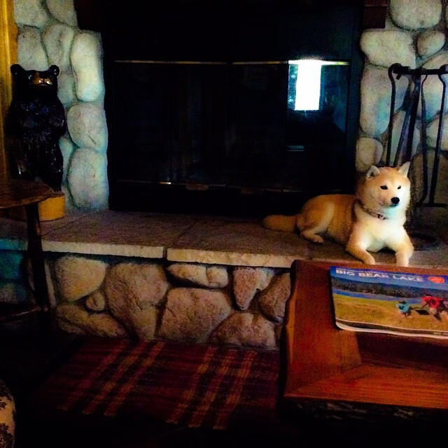 部落冲突“王者之战”全球总决赛即将领略巅峰对抗，部落冲突全球锦标赛2020总决赛回放