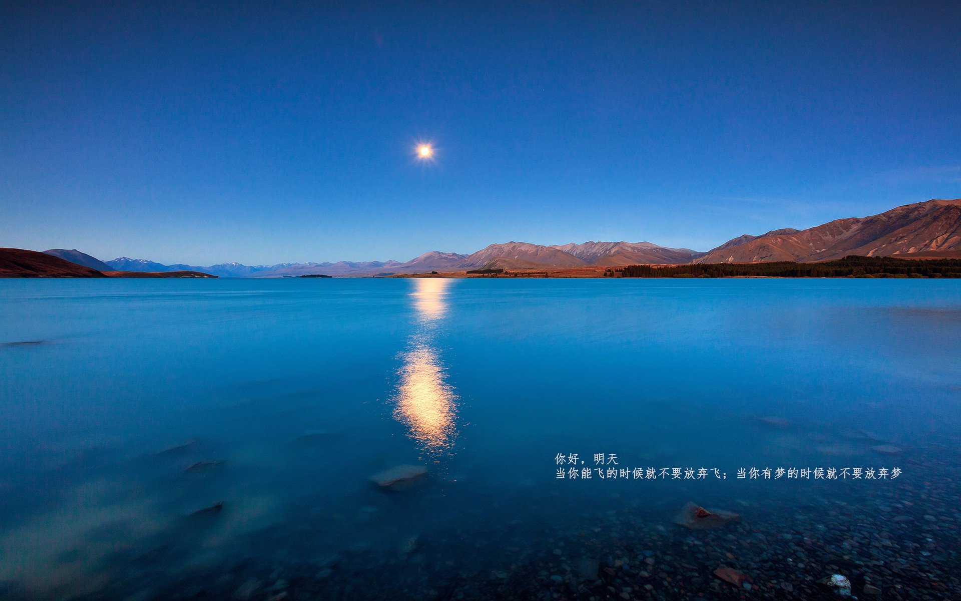 C罗突破里程碑，成为队史射手王，c罗登顶历史射手王