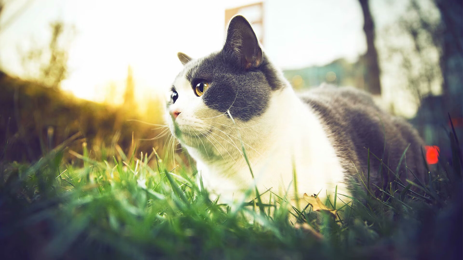 原州东浦新世代赛季目标明确，原州东浦新世代vs高阳猎户座