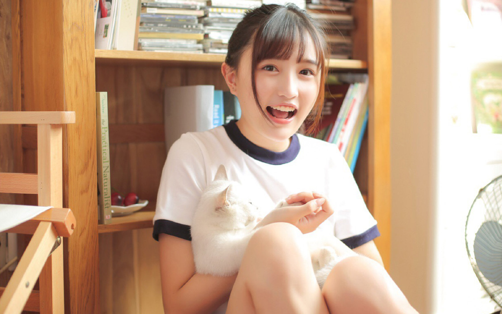 意大利主场迎战瑞士,实力对比难以预判,意大利对瑞士场地