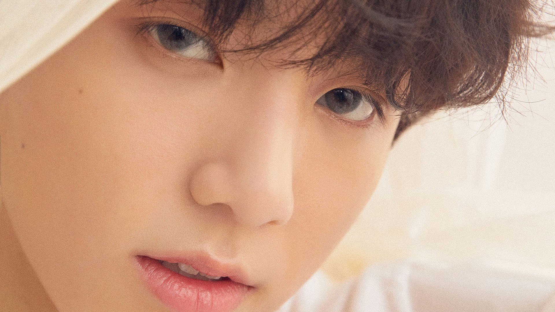 斯图加特主场拿下对手，士气高涨，斯图加特球迷