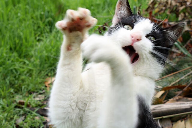 江苏男篮迎来胜利，球队士气高涨，江苏男篮最新训练情况