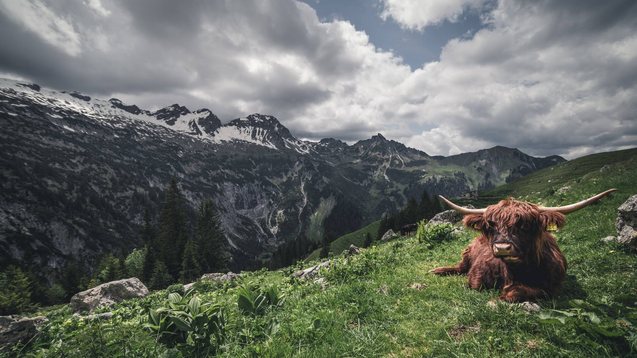 江苏男篮迎来胜利，球队士气高涨，江苏男篮最新训练情况