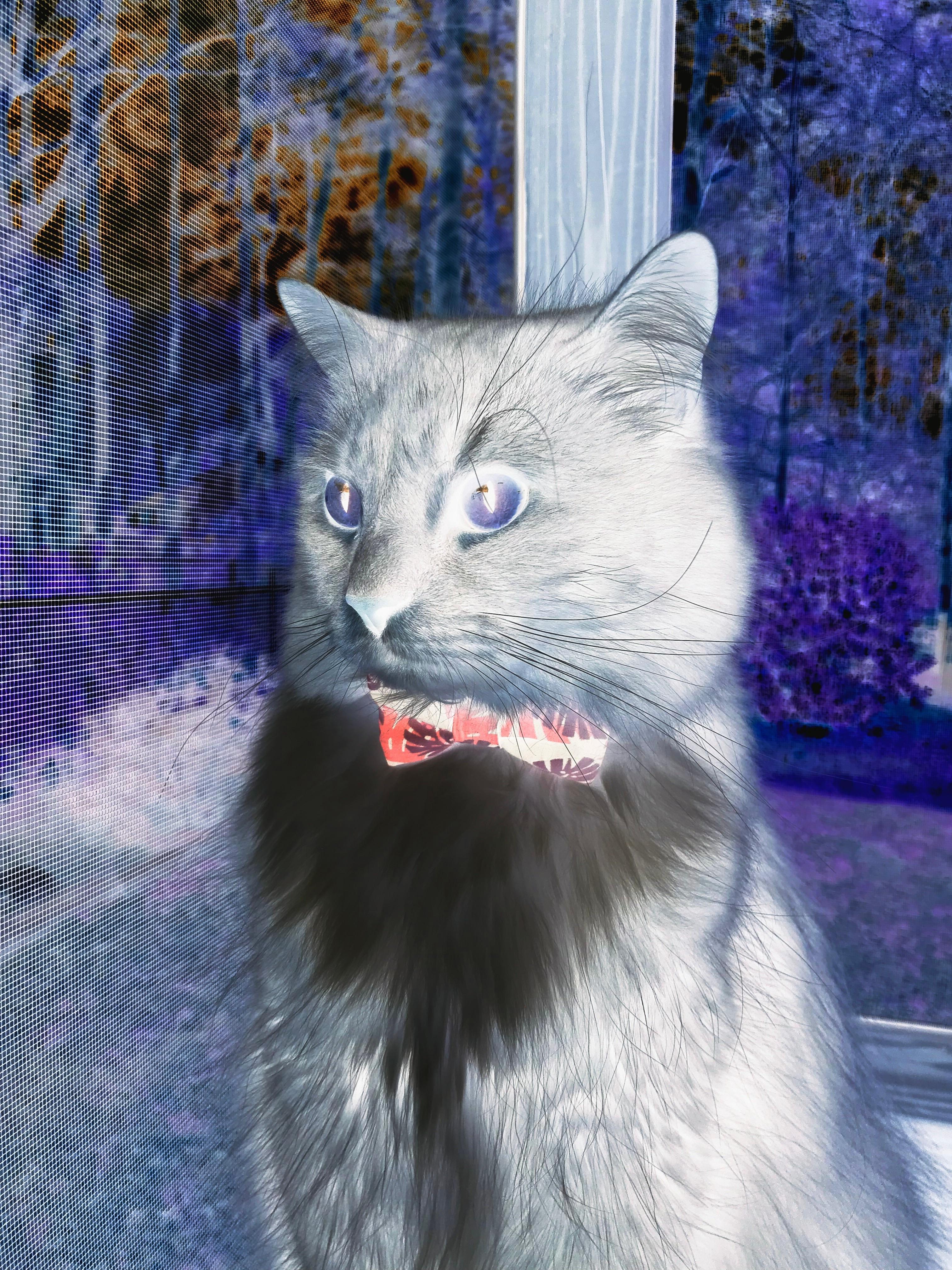 篮球运动员心理辅导新技术应用，篮球运动员心理训练计划