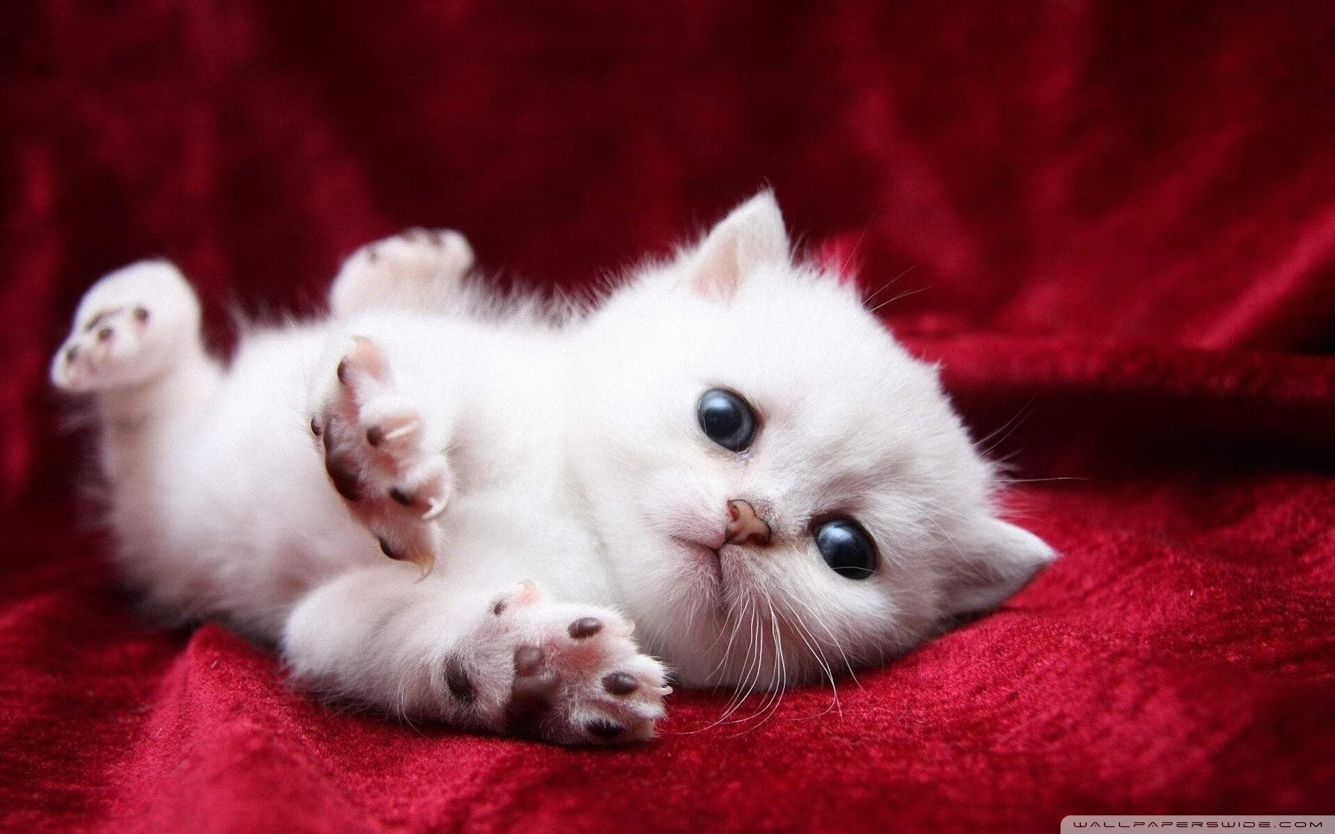 联盟是否应引入主客场平衡评分机制，英雄联盟主客场制介绍