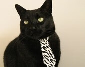 NBA球员训练营最新动态解析,nba球员训练师