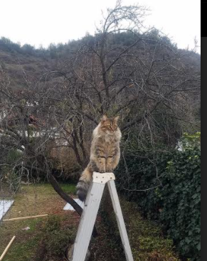 体育产业市场竞争策略，体育产业市场竞争策略研究