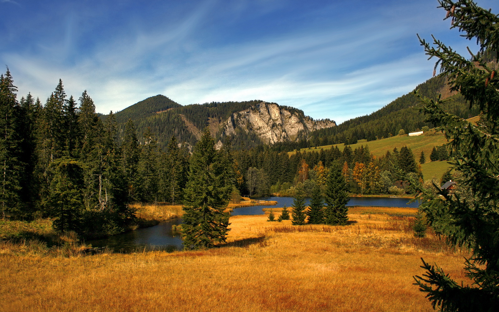 全国青少年跳水锦标赛在青岛盛大举行,全国青少年跳水锦标赛在青岛盛大举行吗