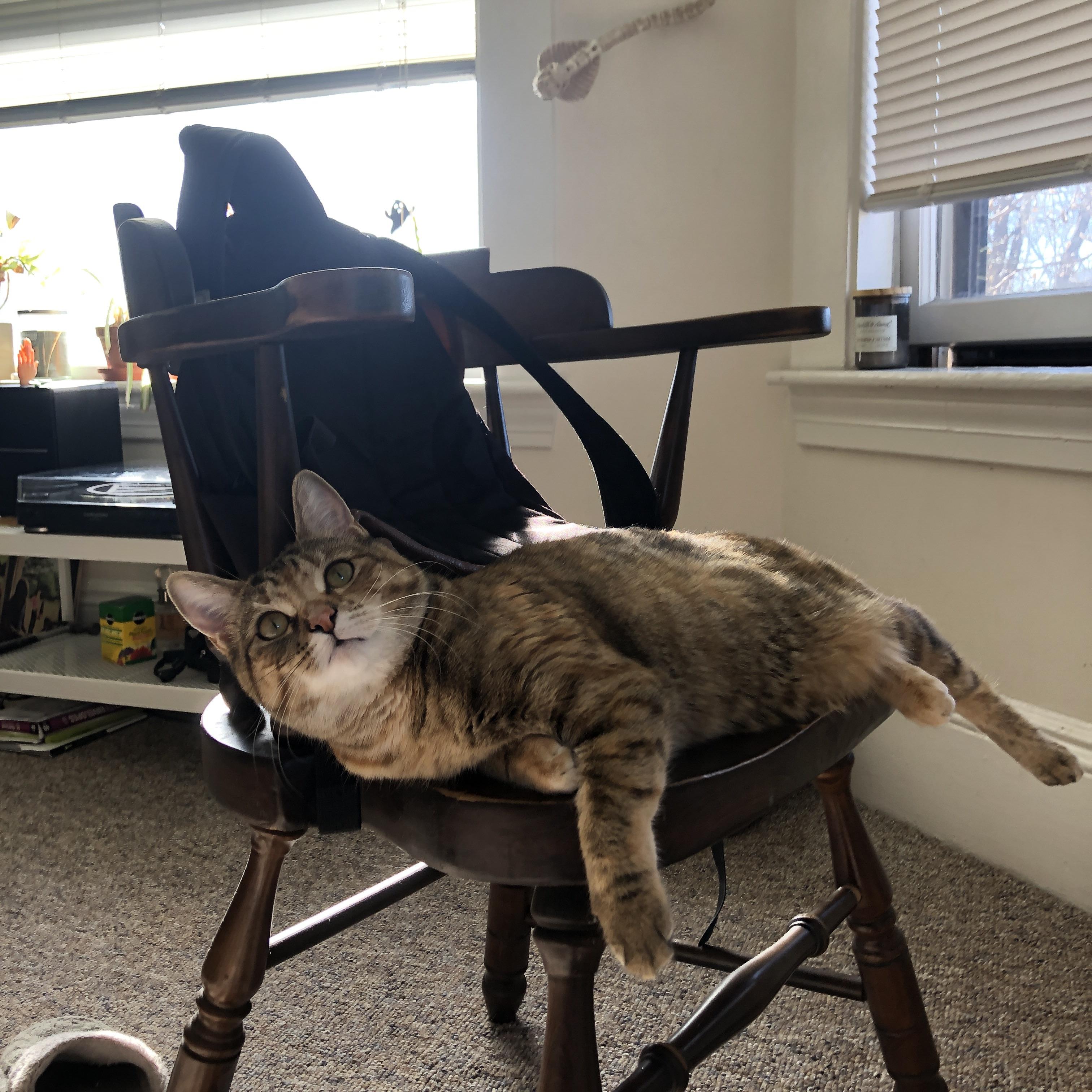 俄罗斯男篮在欧洲锦标赛中稳步晋级,重振辉煌,俄罗斯男篮落选赛