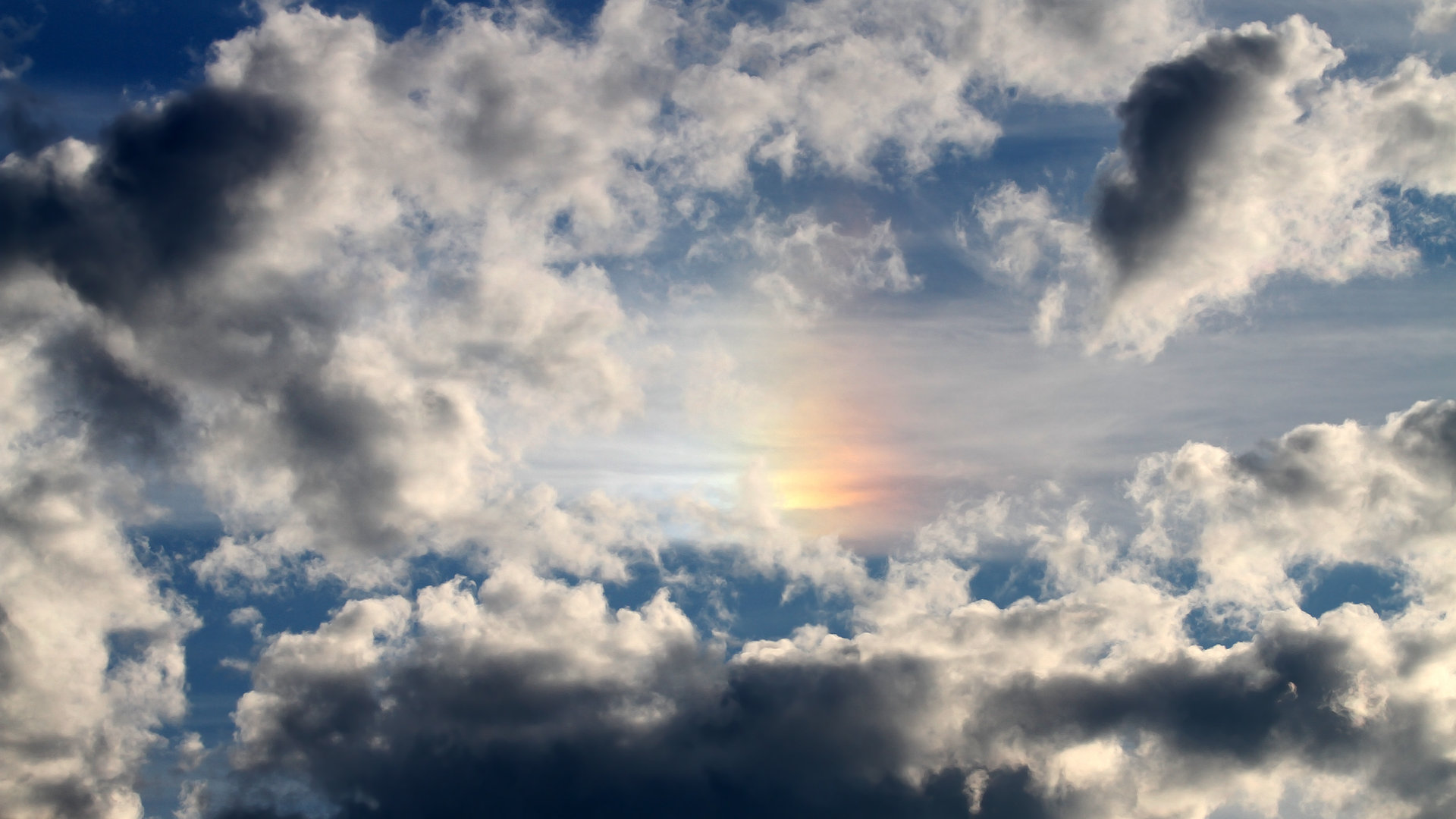 国家体育总局公告群众体育品牌活动推介方案,体育品牌宣传语