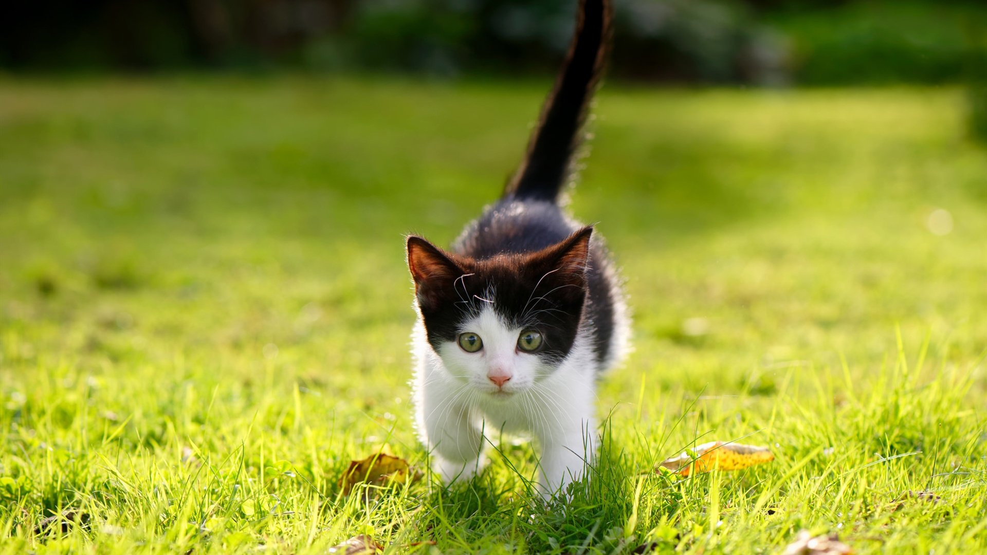 男篮老将保持良好竞技状态持续为球队注入关键力量，男篮选手